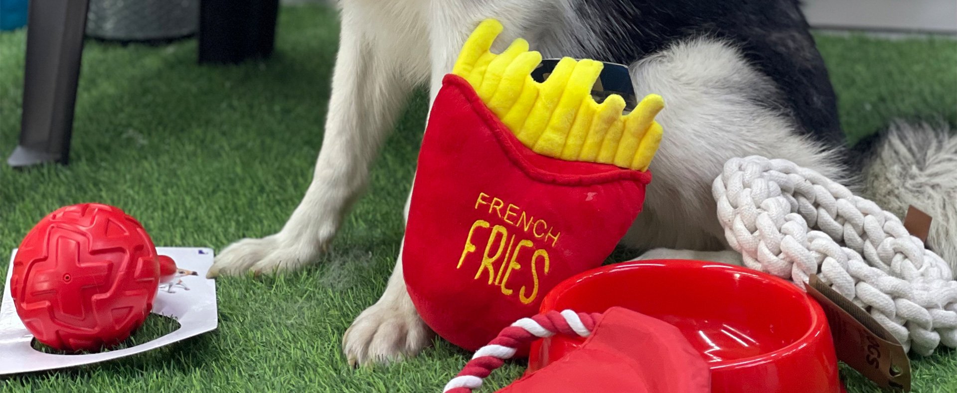 Banner sobre mascotas con diferentes tipos de juguetes
